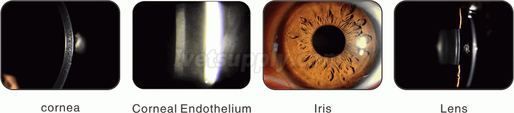 Veterinary Biomicroscope Tonometer Slit Lamp